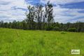 Property photo of 226 Nowendoc Road Killawarra NSW 2429