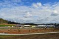 Property photo of 20 Archer Crescent Redbank Plains QLD 4301