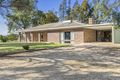 Property photo of 20 Twentyfifth Street Renmark South SA 5341
