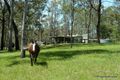 Property photo of 99 Pitches Road Doubtful Creek NSW 2470