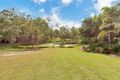 Property photo of 30 Curlew Court Tamaree QLD 4570