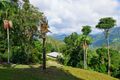 Property photo of 771 Tomewin Mountain Road Currumbin Valley QLD 4223