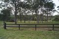 Property photo of 398 Bridgman Road Wattle Ponds NSW 2330
