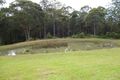 Property photo of 882 Croobyar Road Croobyar NSW 2539