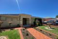 Property photo of 1 Tralee Avenue Broadview SA 5083