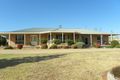 Property photo of 68 Wickham Lane Young NSW 2594