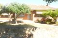 Property photo of 49 Tenth Avenue Joslin SA 5070
