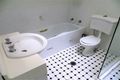 Property photo of 176 Cressy Road North Ryde NSW 2113
