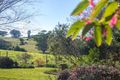 Property photo of 28 Princes Highway Milton NSW 2538