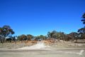 Property photo of 116 Greaney Road Greenlands QLD 4380