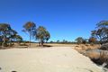 Property photo of 116 Greaney Road Greenlands QLD 4380