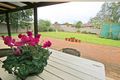 Property photo of 50 Crawford Street Ashmont NSW 2650