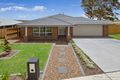 Property photo of 55 Harvest Boulevard Chisholm NSW 2322