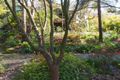 Property photo of 8 Fernshaw Road Monbulk VIC 3793