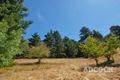 Property photo of 110 Mawson Road Forest Range SA 5139