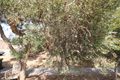 Property photo of 8/15 Austral Terrace Morphettville SA 5043