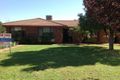 Property photo of 106 Moss Avenue Narromine NSW 2821