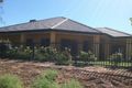 Property photo of 31 Ian Showell Drive Renmark SA 5341