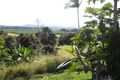 Property photo of 407 Palmerston Highway O'Briens Hill QLD 4860