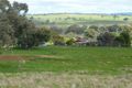 Property photo of 2941 Sturt Highway Alfredtown NSW 2650