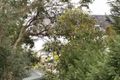Property photo of 2/68 Hampden Road Russell Lea NSW 2046