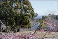 Property photo of 43 Mackenzie Street Hackett ACT 2602