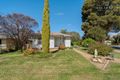 Property photo of 44 Ashmont Avenue Ashmont NSW 2650