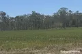 Property photo of LOT 4 Sarnadskys Road Bucca QLD 4670
