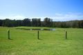 Property photo of 223 Murramarang Road Bawley Point NSW 2539