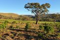 Property photo of 531 Werribee Vale Road Maddingley VIC 3340