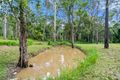 Property photo of 3 Arborfourteen Road Glenwood QLD 4570