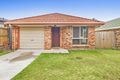 Property photo of 49 Macleay Crescent Tingalpa QLD 4173