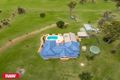 Property photo of 172 Mount Mitchell Road Invergowrie NSW 2350