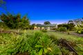 Property photo of 317 Adies Road Isis Central QLD 4660