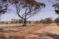 Property photo of 11 Carter Road Cunderdin WA 6407