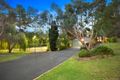 Property photo of 31 Larne Avenue Donvale VIC 3111