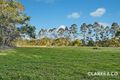 Property photo of 311 Peachester Road Beerwah QLD 4519