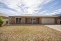 Property photo of 55 Peterson Circuit Risdon Park SA 5540
