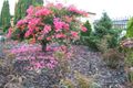 Property photo of 311 Maryland Drive Maryland NSW 2287