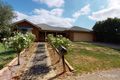 Property photo of 19 Marsh Grove Berwick VIC 3806