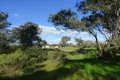 Property photo of 48 Dudauman Street Stockinbingal NSW 2725