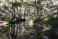Property photo of LOT 4 Turon Gates Road Capertee NSW 2846
