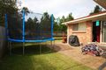 Property photo of 12 Benkari Avenue Kariong NSW 2250