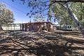 Property photo of 43 Larapinta Drive Gillen NT 0870