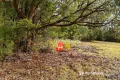 Property photo of 125 Old Callignee Road Callignee VIC 3844