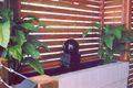 Property photo of 16 Alkina Street Kenmore QLD 4069