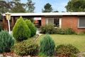 Property photo of 20 Sycamore Street Box Hill South VIC 3128