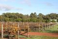 Property photo of 79 Bisdee Road Millendon WA 6056