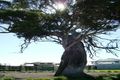 Property photo of 12 Barrington Chase Sandhurst VIC 3977