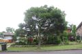 Property photo of 9 Delasala Drive Macquarie Hills NSW 2285